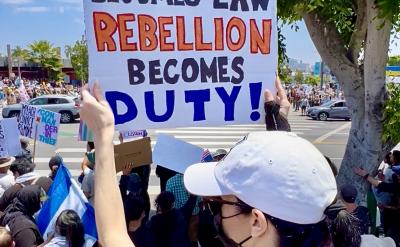 A person in a white cap and mask holds a protest sign reading "When tyranny becomes law, rebellion becomes duty" in bold, colorful letters at a rally with a crowd under a sunny sky.