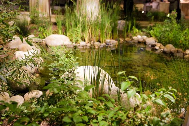 A pond in a rocky garden