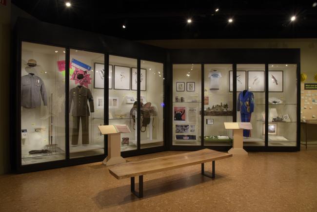 installation view of Investigating Griffith Park exhibition