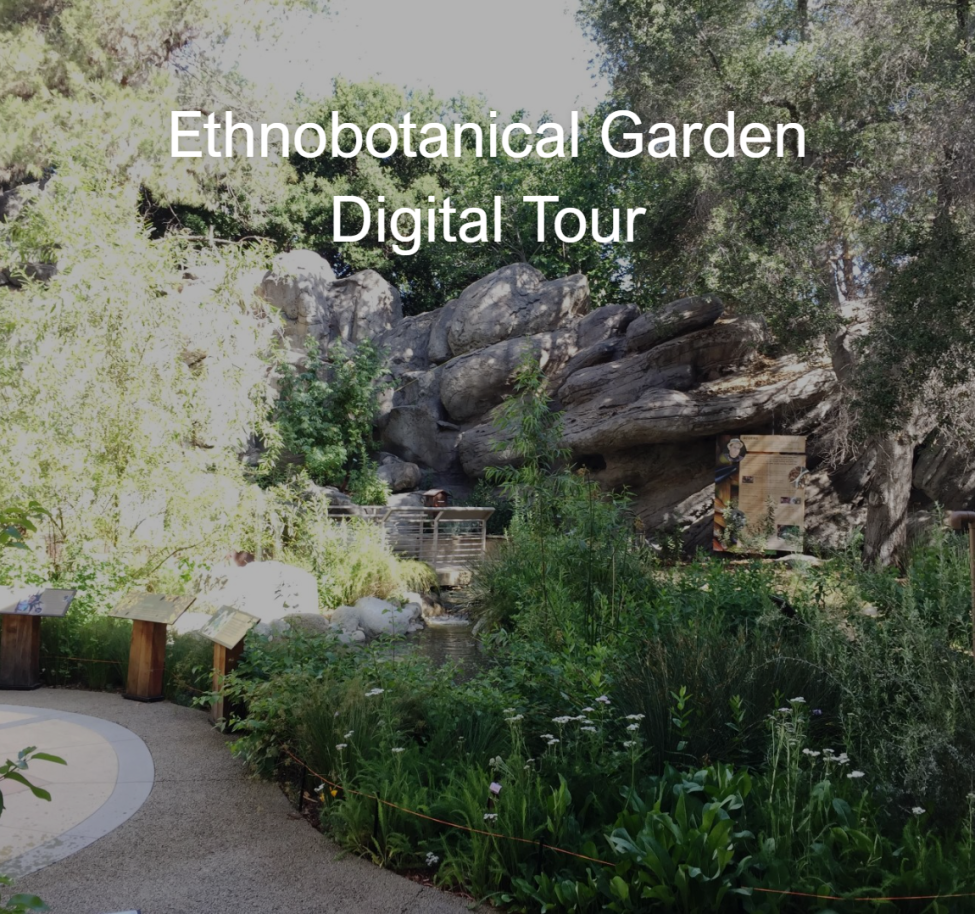 botanical gardens with various greenery, a rock feature, and a small stream