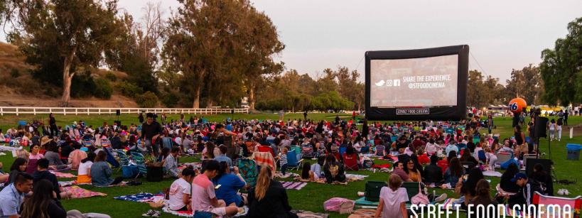 people enjoying picnic on lawn watching a movie on an outdoor screen