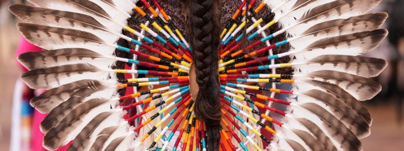 Feather head dress from behind