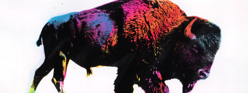 A bison stands against a white background, its body covered in vibrant splashes of pink, purple, blue, yellow, and orange, creating a bold, colorful, and artistic effect.