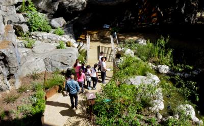 students with teacher walking on a path in a garden