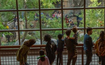 Museum visitors looking out to the garden