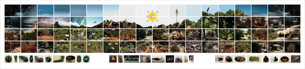 A panoramic collage of nature scenes, divided into grids, showing various landscapes, plants, animals, skies, and close-ups of natural objects against a white background.